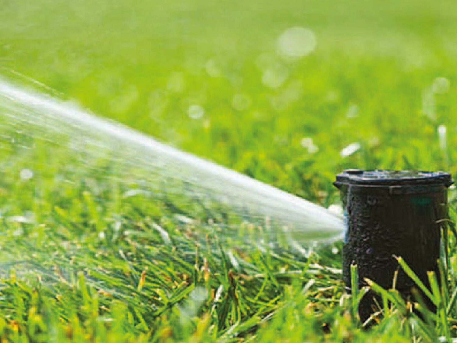 Read more about the article Domestic Water Irrigation System