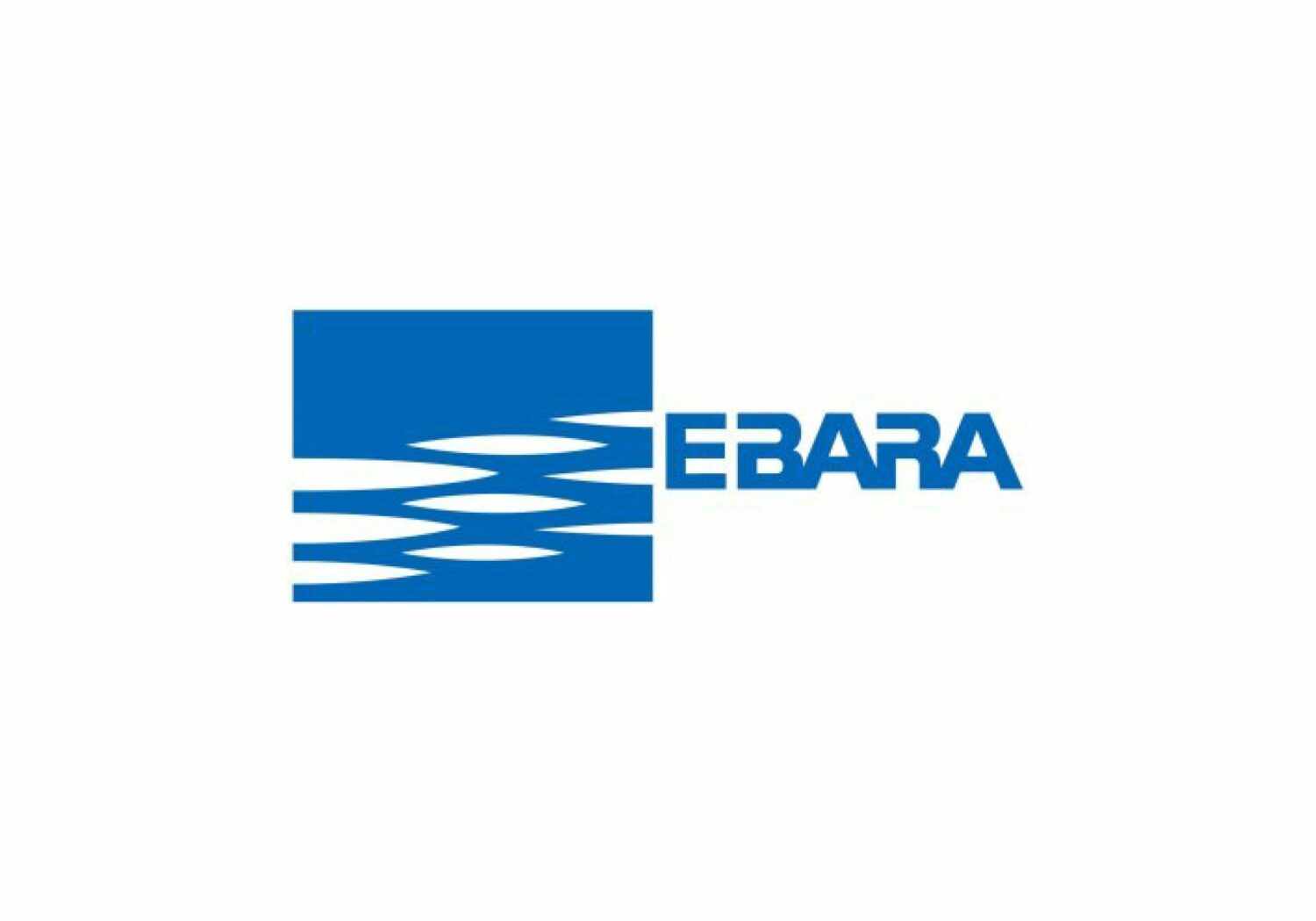 Read more about the article Ebara