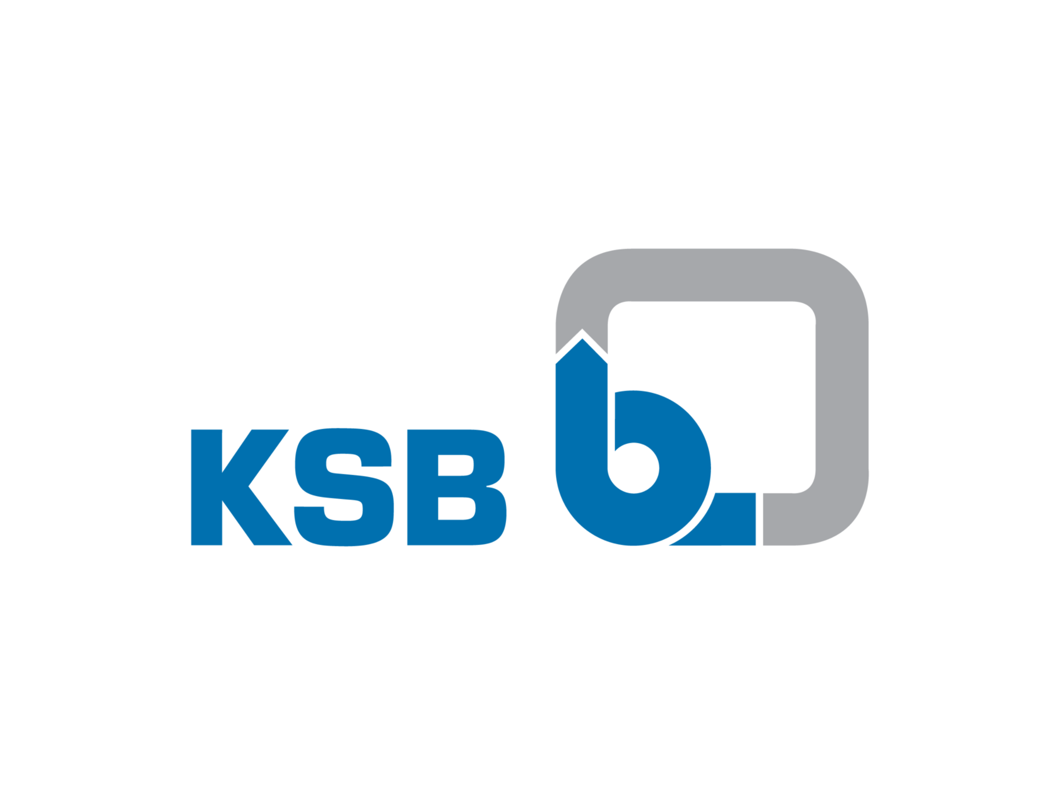 Read more about the article KSB