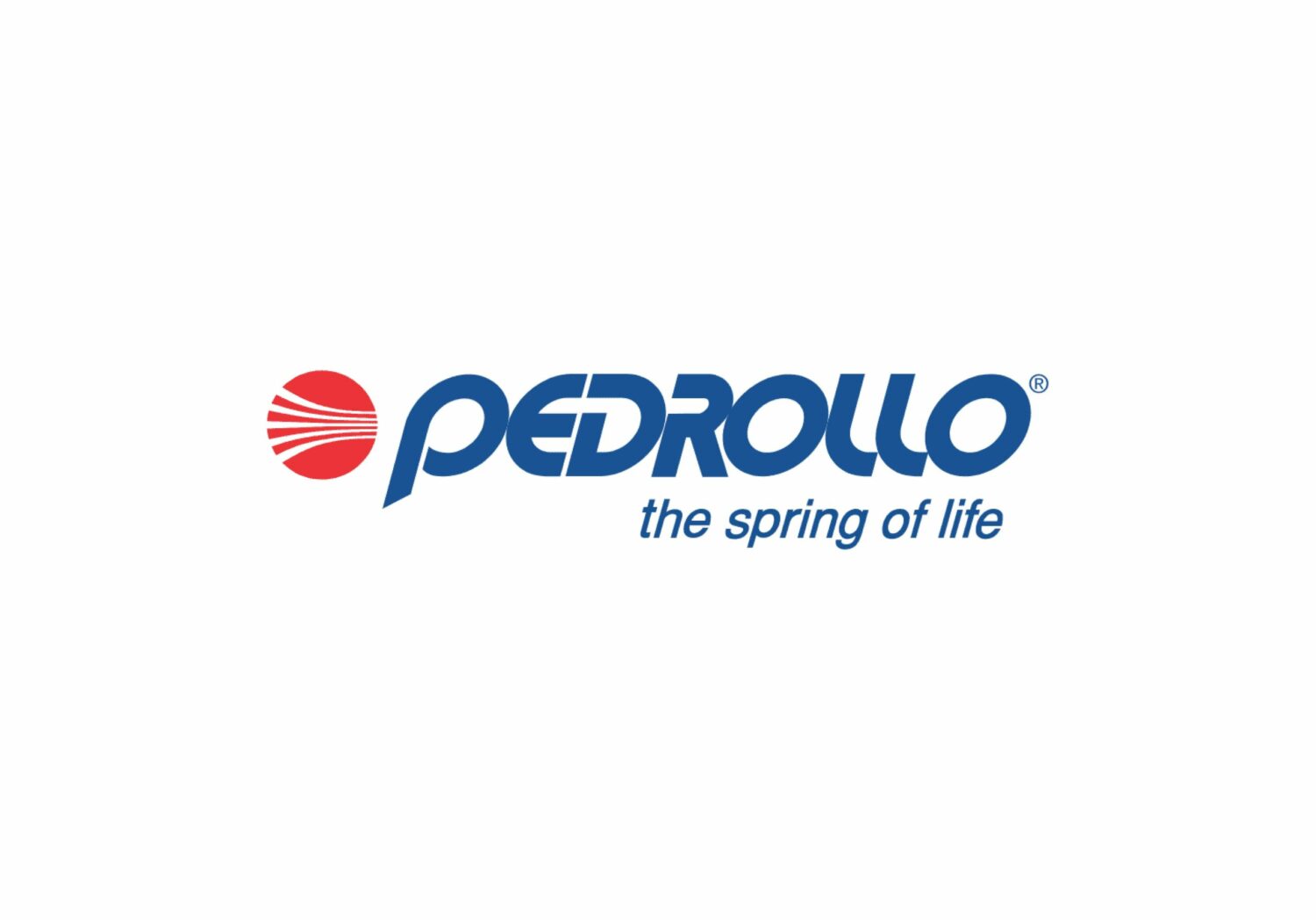 Read more about the article Pedrollo